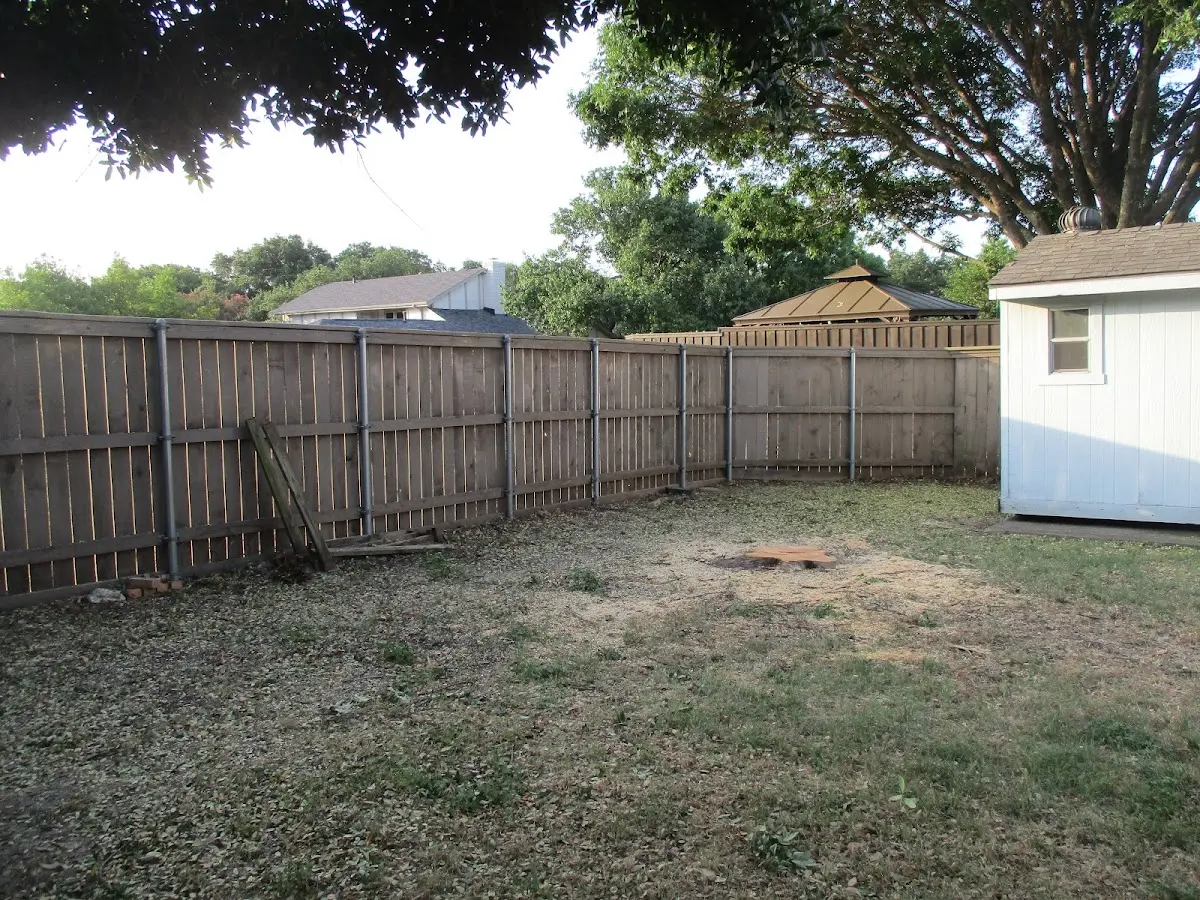 Cleared yard after professional tree removal in Jacksonville